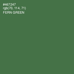 #467247 - Fern Green Color Image